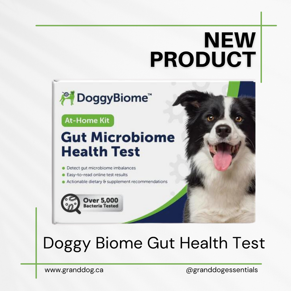 restore-dog-gut-health-with-animal-biome-grand-dog-essentials