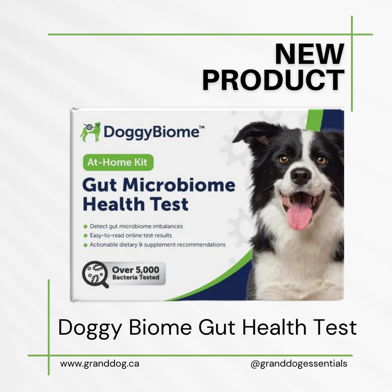 Restore Dog Gut Health with Animal Biome