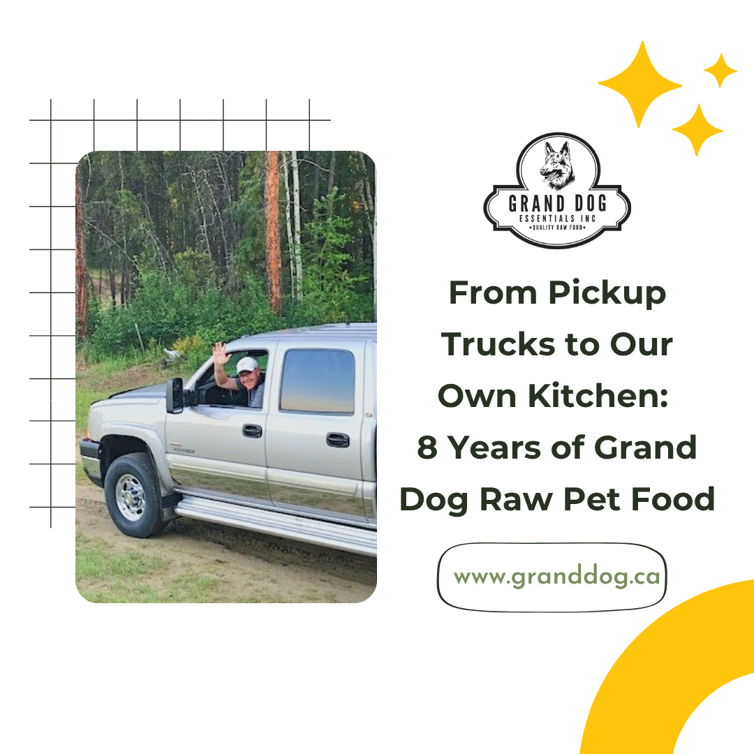 From Pickup Trucks to Our Own Kitchen: 8 Years of Grand Dog Raw Pet Food