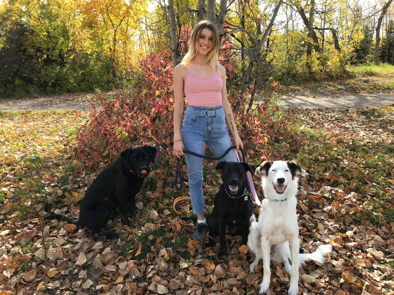 How Hayley Discovered Raw is the Answer to a Happy, Healthy Life for her Dogs