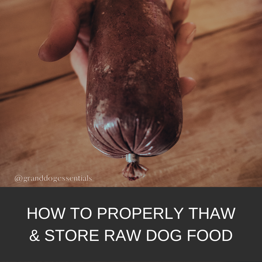 How to Thaw & Store Raw Dog Food