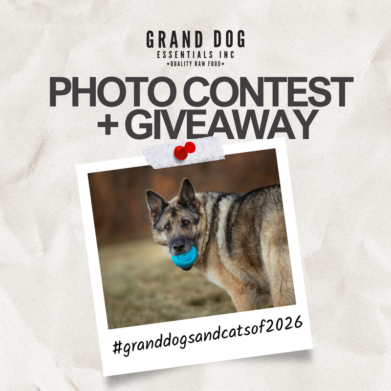 Grand Dog's Third Annual Photo Contest & Calendar!
