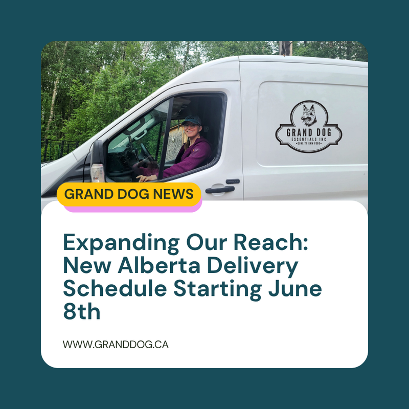 A photo of Amanda in a Grand Dog Truck smiling and below is the title of the blog post. 