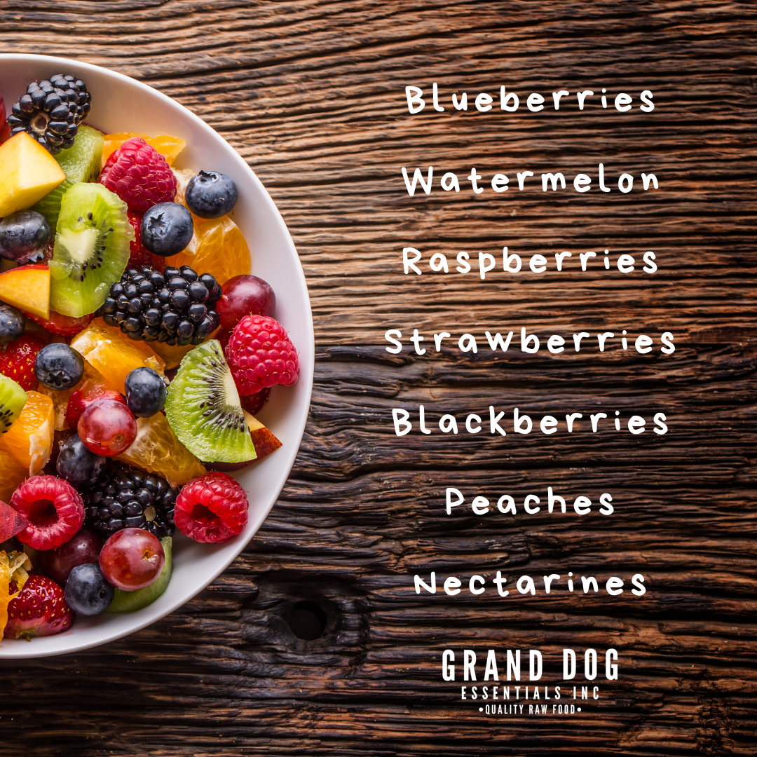 Three Reasons to Feed Summer Fruit to Your Dog – Grand Dog Essentials