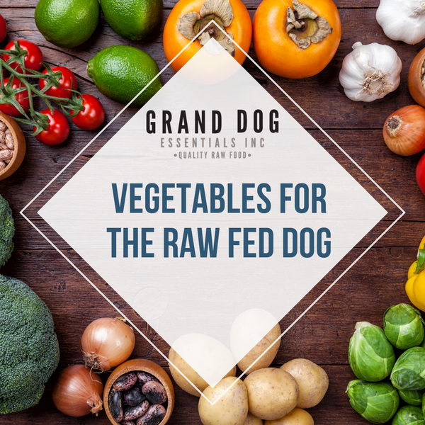 Are raw veggies good for dogs best sale