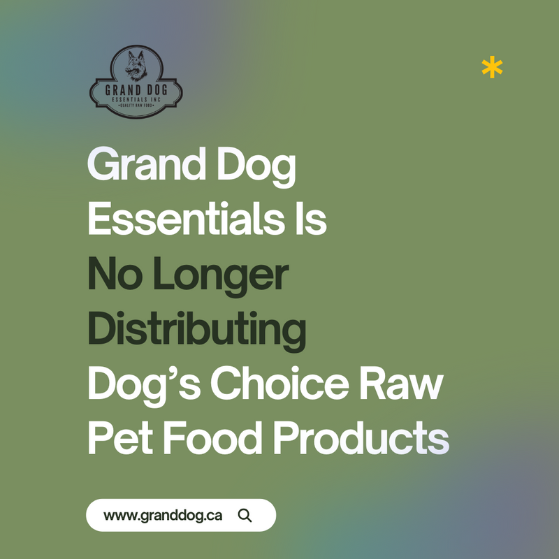Dog’s Choice Update: Supporting You and Your Dog Through the Change