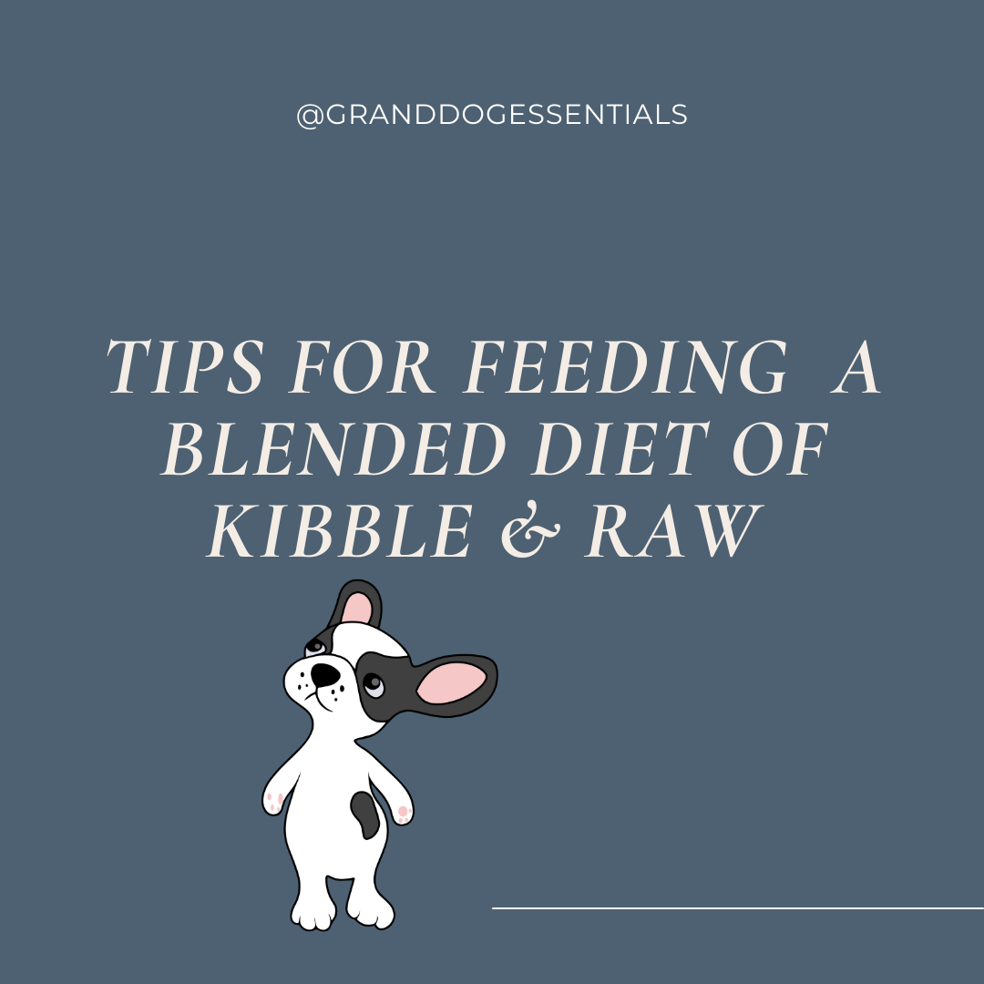 Tips for Feeding a Blended Diet of Kibble and Raw Dog food