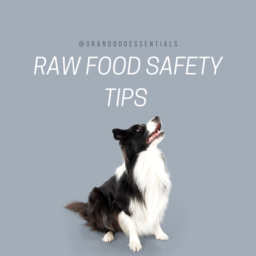 Is my sales dog food safe