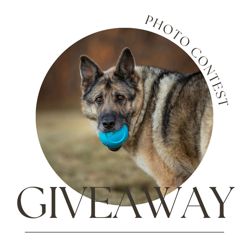 Grand Dogs of 2024 Photo Contest!
