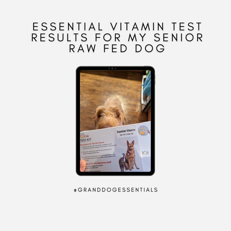 Essential Vitamin Test Results for my Senior Raw Fed Dog