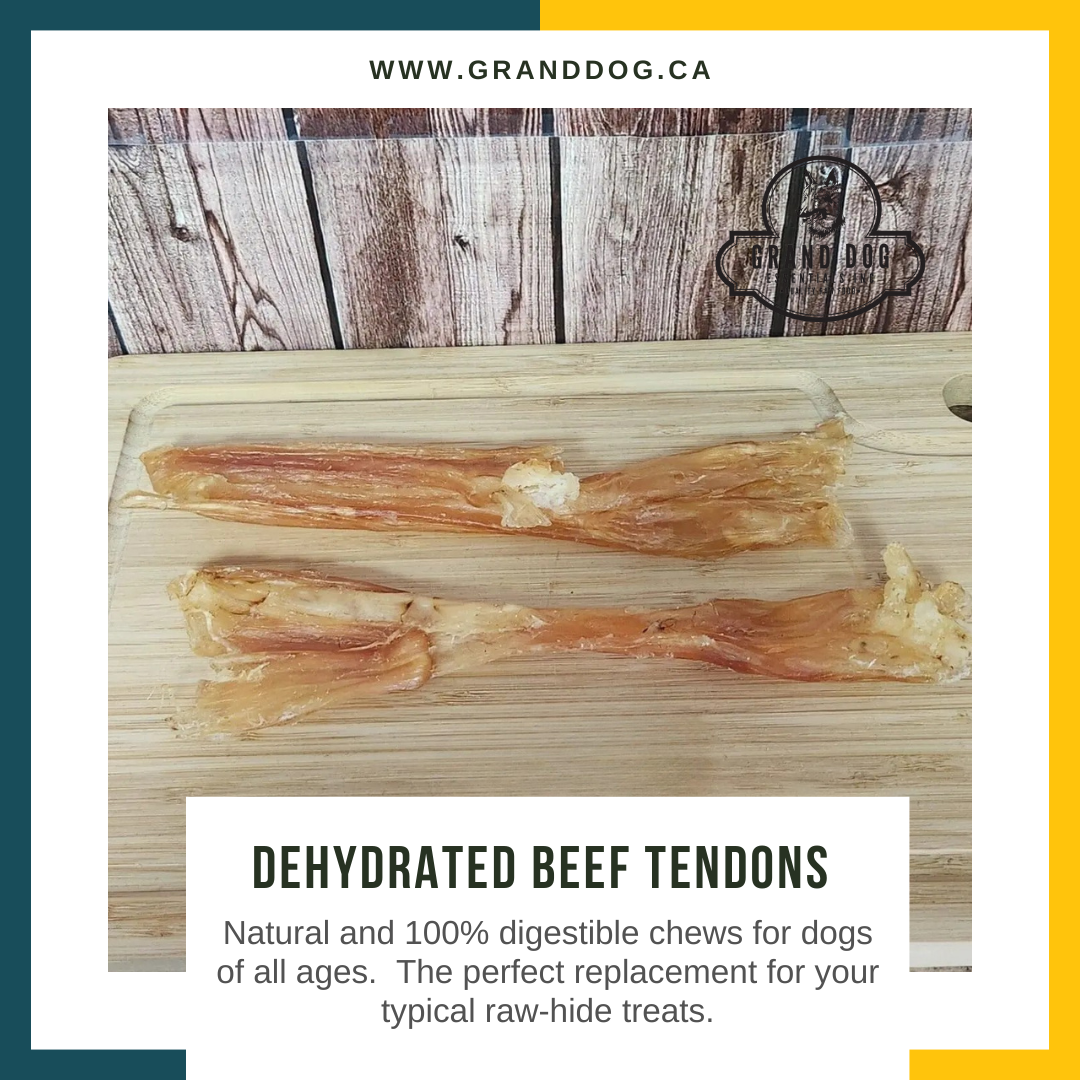 CK9 Dehydrated Beef Tendon