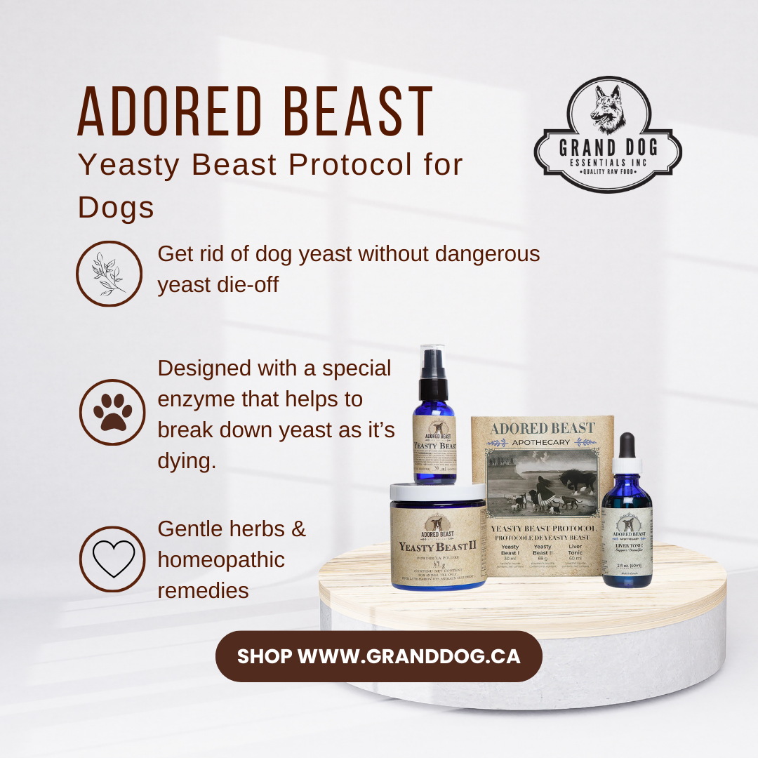 Adored Beast Yeasty Beast Protocol for Dogs (3 Product Kit)