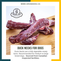 CK9 Duck Necks for Dogs
