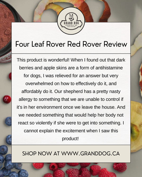 4LR Red Rover - Organic Berries for Dogs