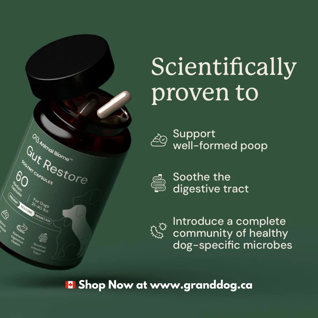 Animal Biome Gut Restore for Dogs