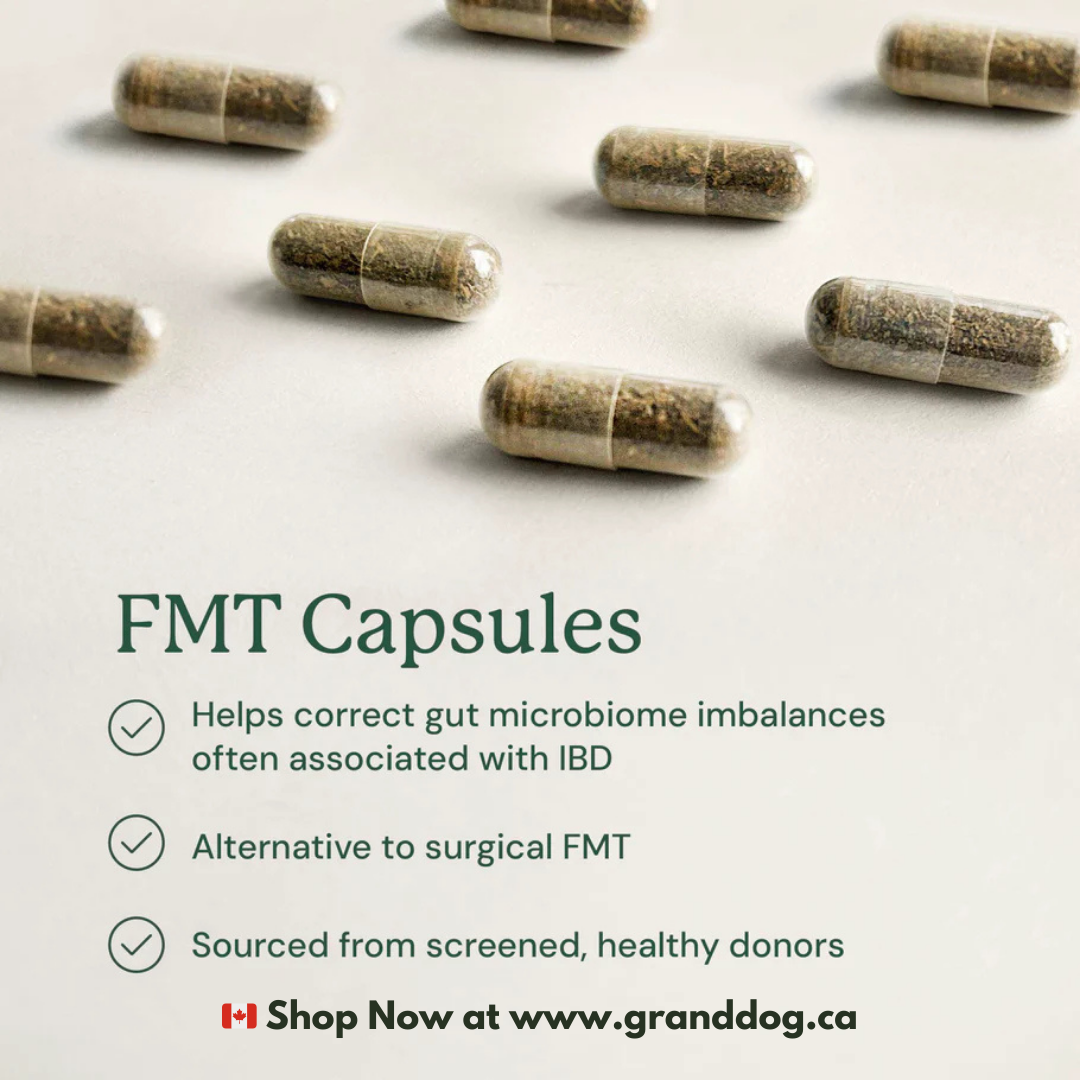 Animal Biome Gut Restore for Dogs