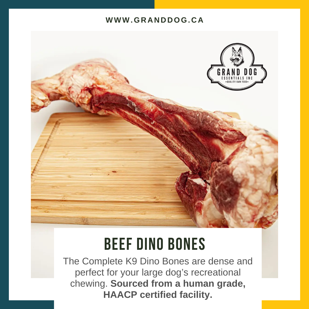 CK9 Beef Dino Bones - Sold Individually