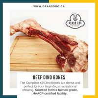 CK9 Beef Dino Bones - Sold Individually