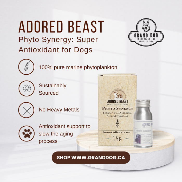 Adored Beast Phyto Synergy 15g