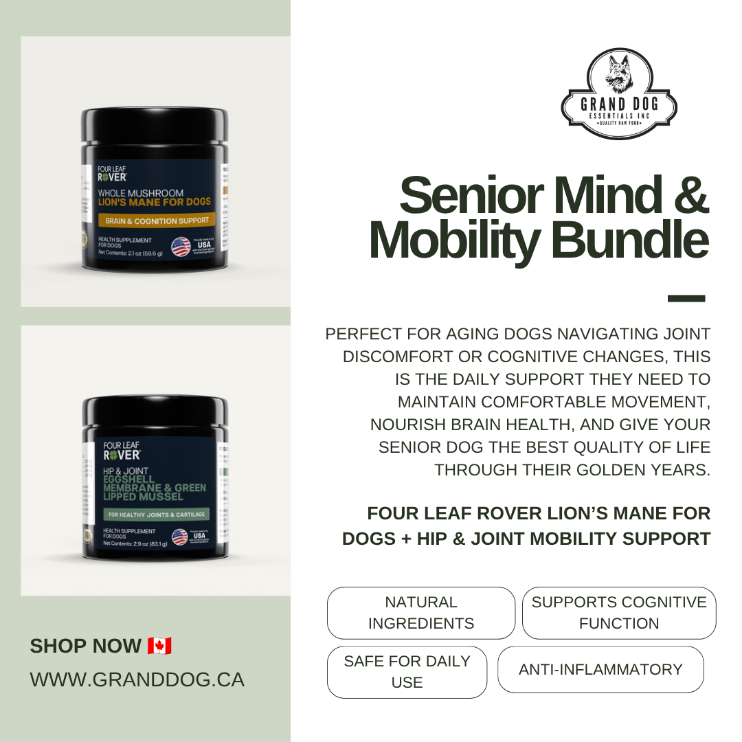4LR BUNDLE: Senior Mind & Mobility Bundle for Dogs