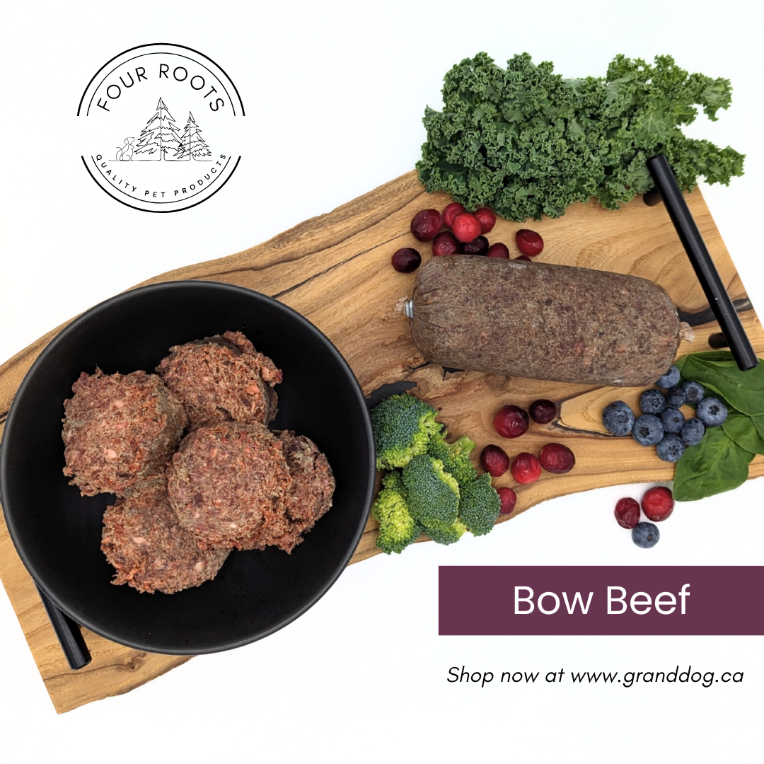 Four Roots Bow Beef Raw Dog Food