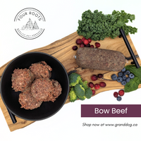 Four Roots Bow Beef Raw Dog Food