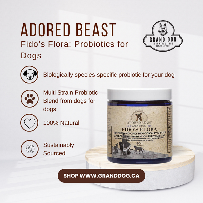 Adored Beast Fido's Flora Probiotics for Dogs 80g