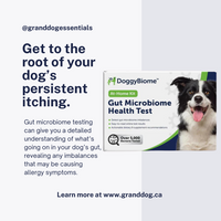 Animal Biome - Doggy Biome Gut Health Test Kit