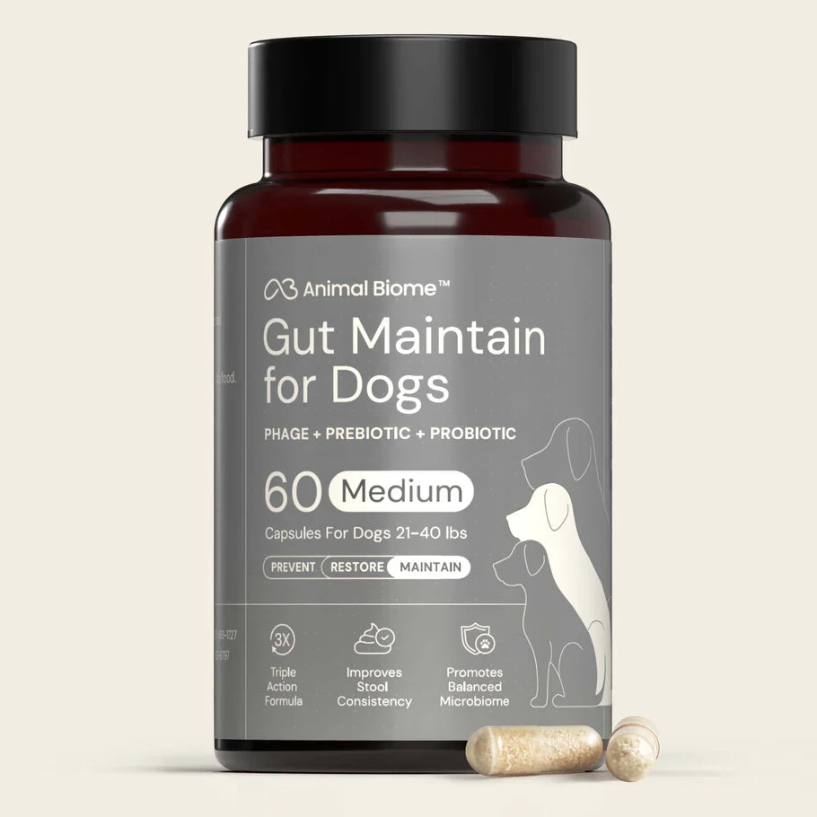 Bottle of Animal Biome Gut Maintain for Dogs supplement on a beige background