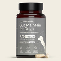 Bottle of Animal Biome Gut Maintain for Dogs supplement on a beige background
