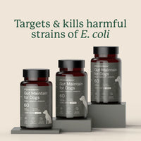 Three bottles of 'Gut Maintain for Dogs' from Animal Biome on a beige background with text about E. coli.