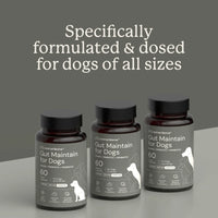 Three bottles of 'Gut Maintain for Dogs' on a gray background with text about formulation and dosing.