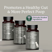 Three bottles of 'Gut Maintain for Dogs' on a gray background with text about promoting a healthy gut.