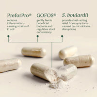 Capsules with text describing benefits of Animal Biome Gut Maintain on a light background