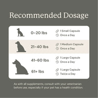 Recommended dosage chart for capsules  of Animal Biome Gut Maintain based on dog weight on a gray background