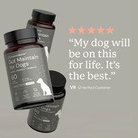 Dog supplement bottles with a five-star review on a gray background