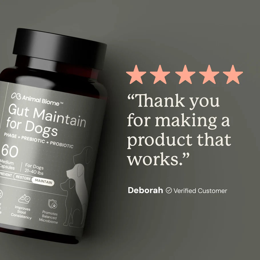 Pet supplement bottle with five-star review text on a dark background