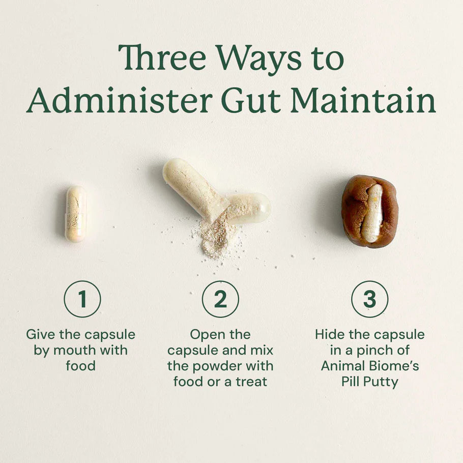 Three ways to administer a capsule for gut maintenance on a light background