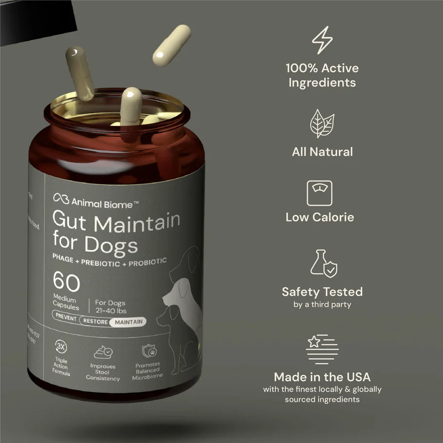 Animal Biome Gut Maintain supplement jar with capsules on a gray background, featuring product details.