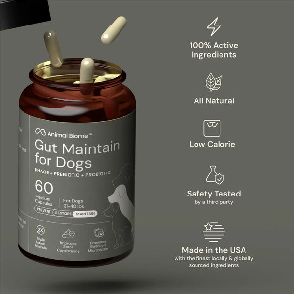 Animal Biome Gut Maintain supplement jar with capsules on a gray background, featuring product details.