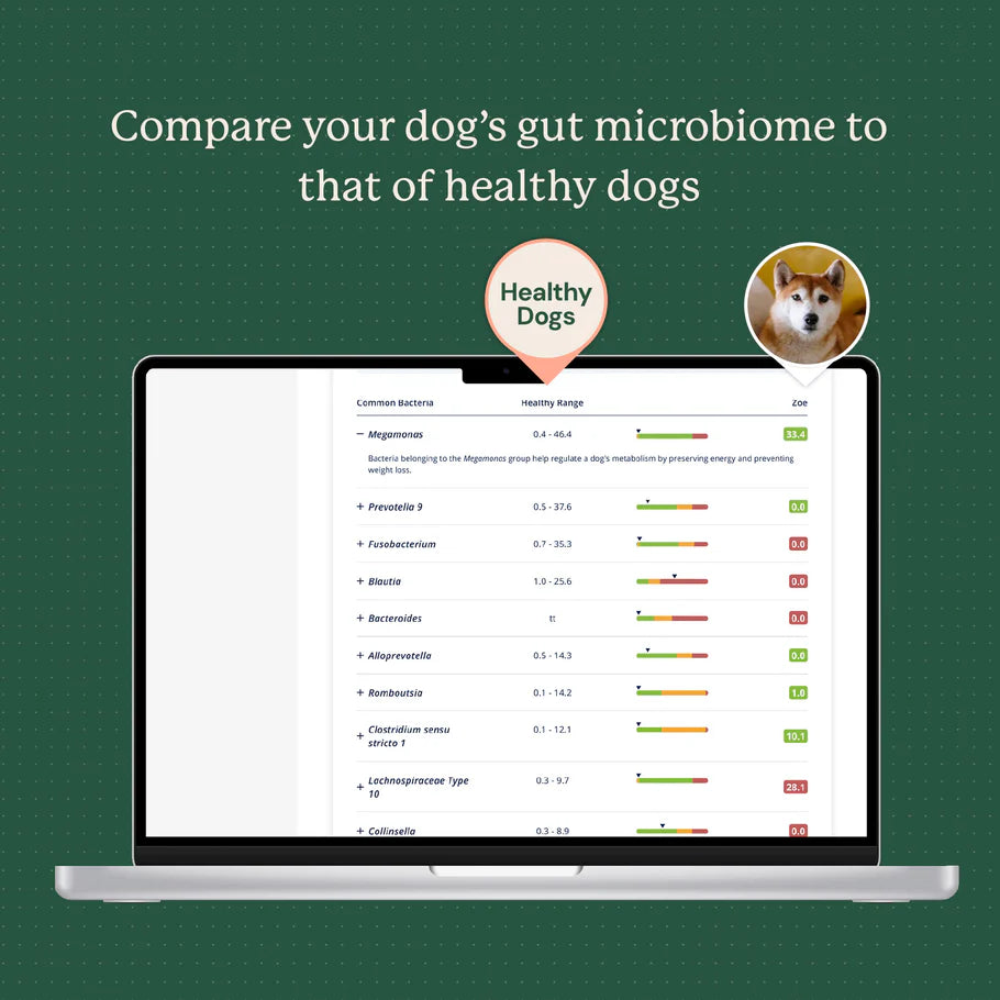Animal Biome Gut Microbiome Test for Dogs