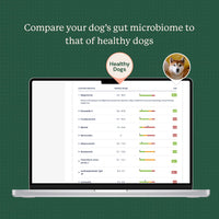 Animal Biome Gut Microbiome Test for Dogs