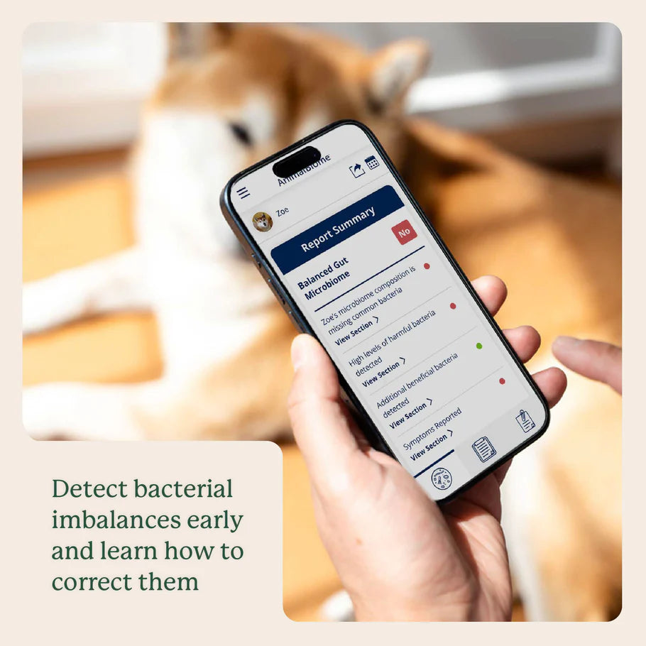 Animal Biome Gut Microbiome Test for Dogs