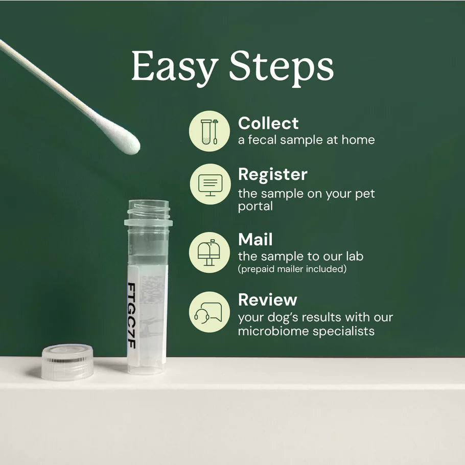 Animal Biome Gut Microbiome Test for Dogs
