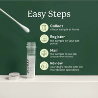 Animal Biome Gut Microbiome Test for Dogs