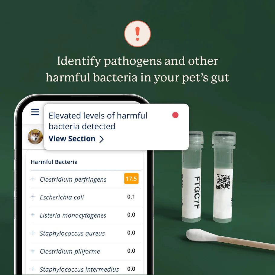 Animal Biome Gut Microbiome Test for Dogs
