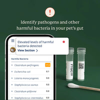 Animal Biome Gut Microbiome Test for Dogs