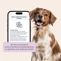Animal Biome Gut Microbiome Test for Dogs