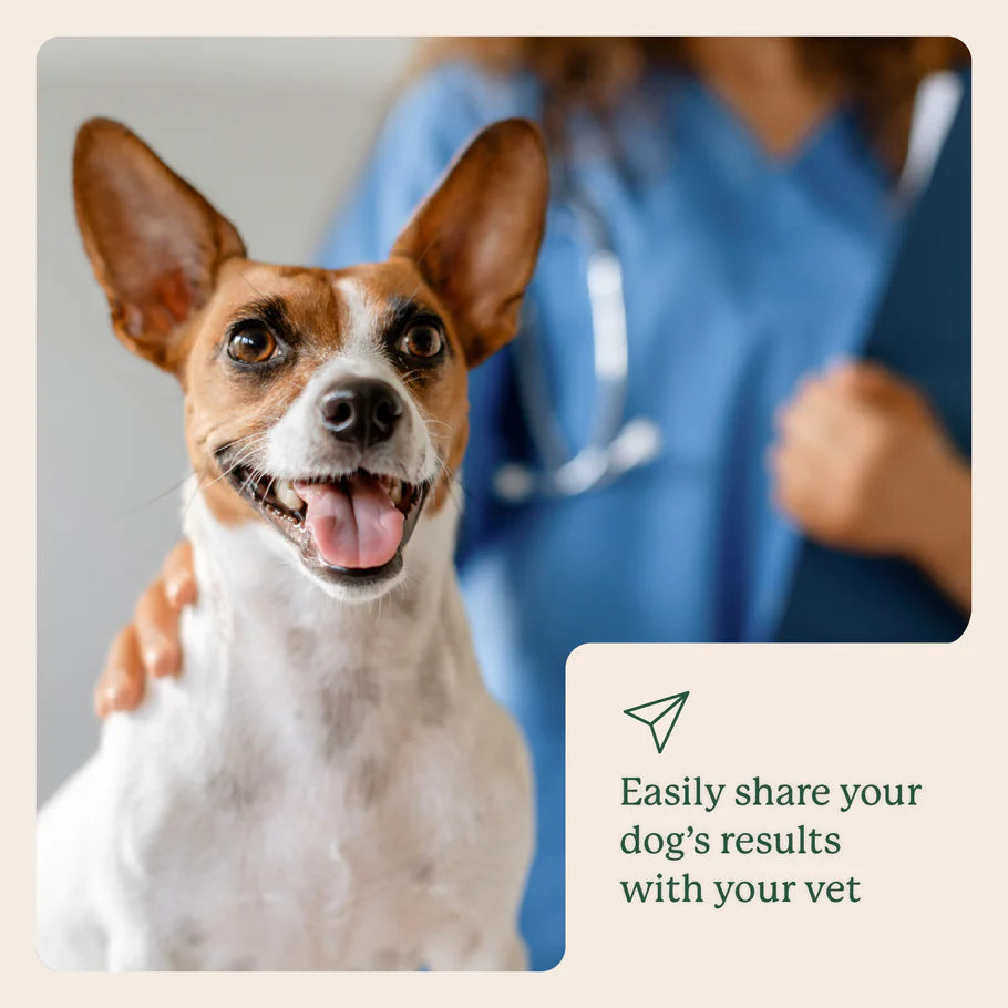 Animal Biome Gut Microbiome Test for Dogs