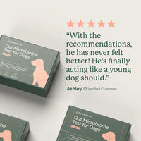 Animal Biome Gut Microbiome Test for Dogs